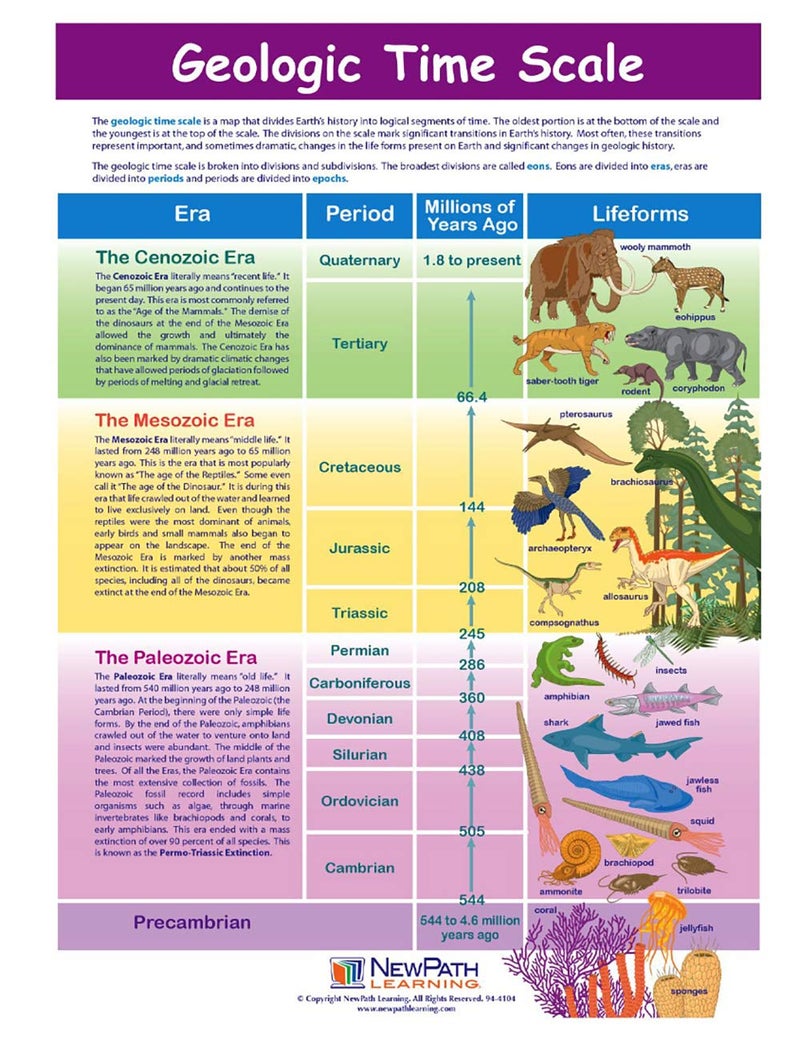 New Path Learning NewPath Learning-947122 Geologic Time Scale Visual Learning Guides, Set/5-4-Panel, 11" x 17" Laminated Guides, Full-Color Graphic Overview, Write-On/Wipe-Off Activities - Image 1